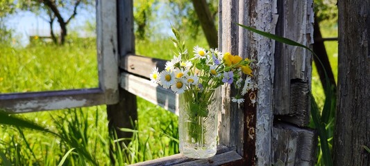 Fototapeta na wymiar Flowers in vase