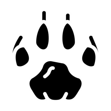 tiger hoof print glyph icon vector. tiger hoof print sign. isolated contour symbol black illustration