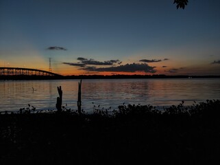 sunset with a bridge plants