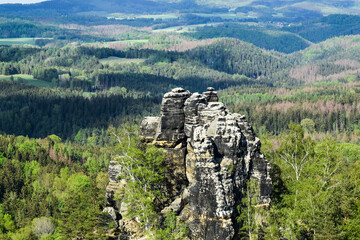 landscape with trees