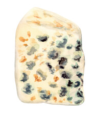 blue cheese
slice isolated drawing watercolor