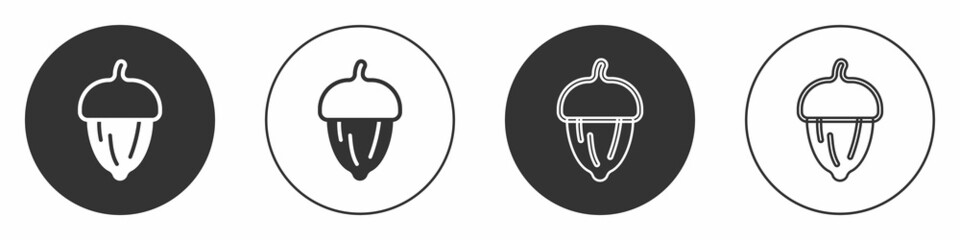 Black Acorn icon isolated on white background. Circle button. Vector