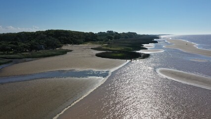 PLAYA DE ARAENA Y ARBOLES