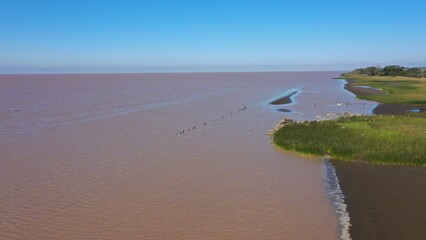 PLAYA DE ARAENA Y ARBOLES