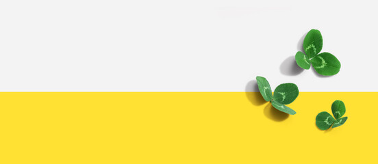 Clover leaves - St. Patricks Day - Flat lay