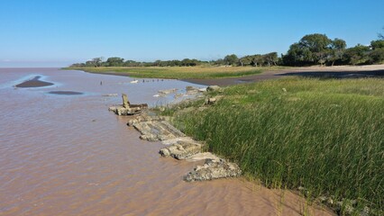 PLAYA DE ARAENA Y ARBOLES