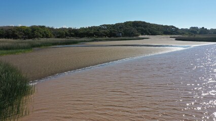 PLAYA DE ARAENA Y ARBOLES