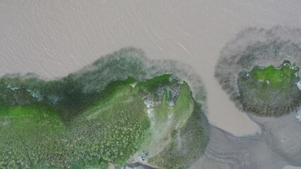 water drops on green grass