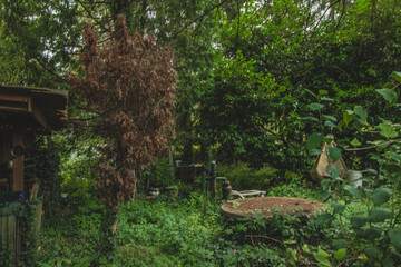 Lostplace