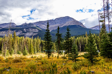 Fototapeta na wymiar Protection Mountain Banff National Park Alberta Canada