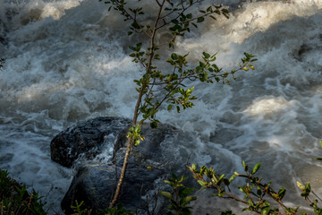 Rampart Creek rolls over rocks Banff National Park Alberta Canada