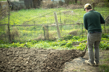 Guy is digging ground. Planting potatoes in Russia. Russian with shovel.