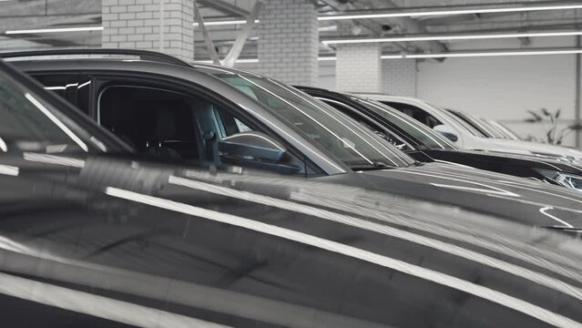 New and used cars are on display for sale and rental in the bright showroom.