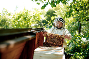 Beekeeper in a protective suit works with honeycombs. A farmer in a bee suit works with honeycombs...