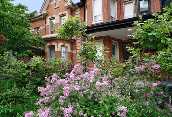 Old brick house with lilac bush in front yard