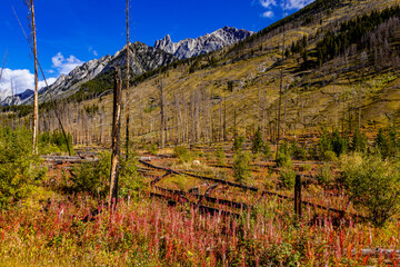 Prescribed burn Banff National Park Alberta Canada