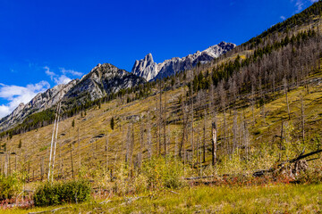 Prescribed burn Banff National Park Alberta Canada