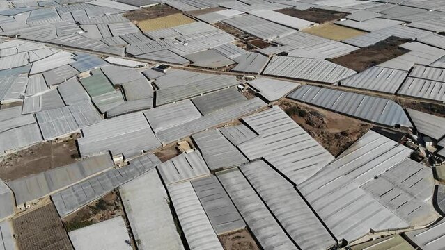 Drone Aerial View Of A Large Area Filled With Greenhouses In A Sunny Day