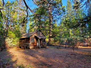 abandoned cabin  in the woods 1