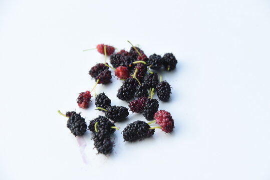 Mulberry. Moraceae deciduous shrub. Berries ripens red and black in early summer and is used for raw food and jam.