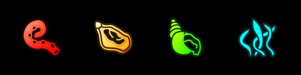 Set Octopus of tentacle, Mussel, Scallop sea shell and Seaweed icon. Vector