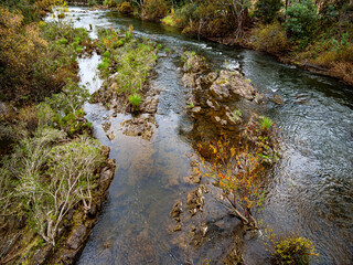 Ovens River Downstream