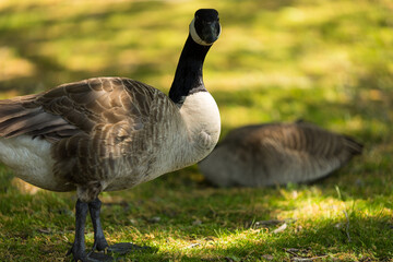 A view of Boston through the eyes of an professional environmental scientist with limited photography experience. 