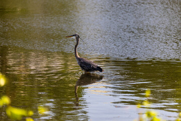 A view of Boston through the eyes of an professional environmental scientist with limited photography experience. 