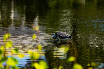 A view of Boston through the eyes of an professional environmental scientist with limited photography experience. 