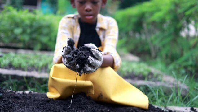 African American boy Scatter the soil into the slow-motion farming plot, concept of agriculture or cultivation works in greenhouses