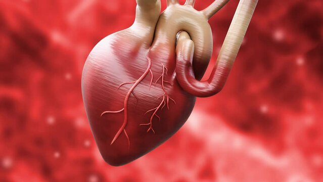 Heart attack or acute myocardial infarction occurs when a clot blocks blood flow to the heart