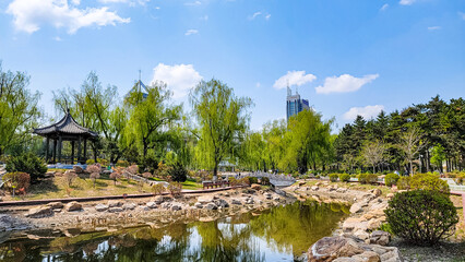 Fototapeta na wymiar Spring scenery of Peony Garden in Changchun, China