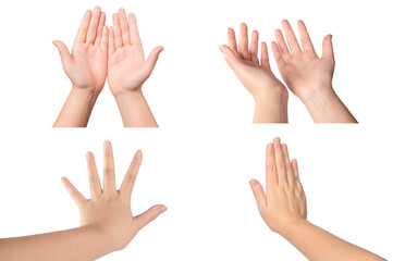 set of hands isolated