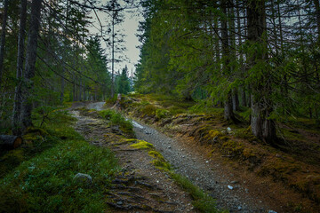 Obraz premium im Kleinwalsertal