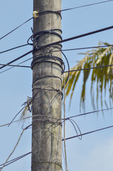 a high-voltage concrete power pole and twisted wires with palm leaves on a clear sky in the daytime...