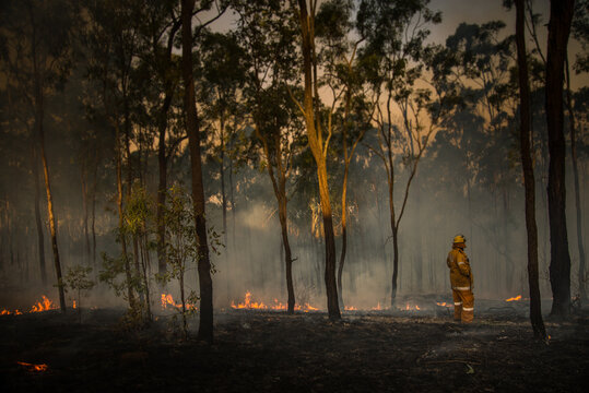 Queensland Rural Firefighter inspects bush fire