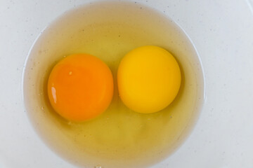 egg yolk in a bowl