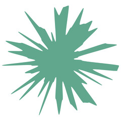 Ornament Shape Illustration