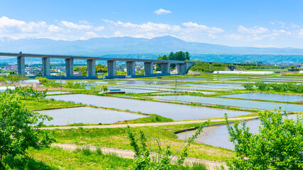 長野県佐久市の田んぼの風景
