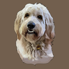 portrait of a white dog