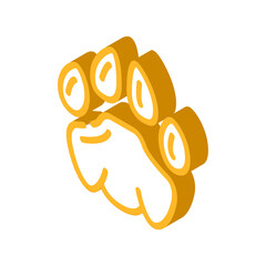 lion leg print isometric icon vector. lion leg print sign. isolated symbol illustration