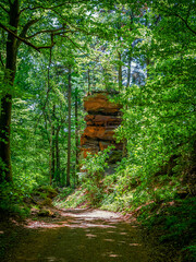 Pfälzerwald nahe der Grenze zu Frankreich