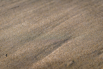 Monterey Bay, California