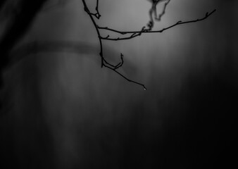 jk22 0427 water droplet 1336