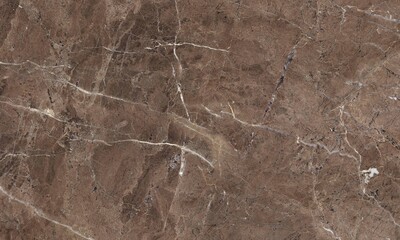 Fototapeta na wymiar Detailed Natural Marble Texture or Background High Definition Scan