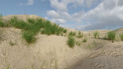 3d render green grass on the beach nature seascape scene wallpaper backgrounds