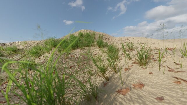 3d render grass on sand seascape nature scene wallpaper backgrounds