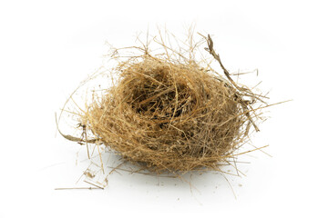 Obraz premium Wren's nest on White Background. 