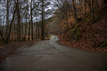 Country road in Tennessee