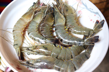 raw shrimp stock on market for sell